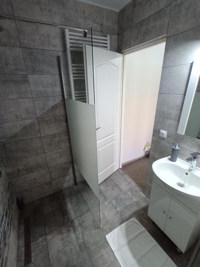 Revolution Apartment Baia Mare Zewnętrze zdjęcie